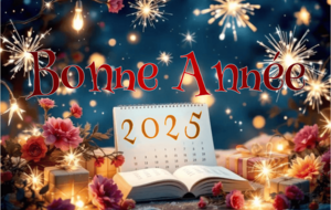 Bonne année 2025 à tous