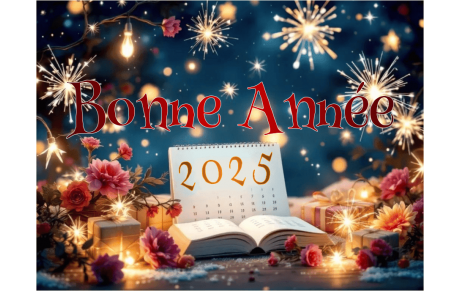 Bonne année 2025 à tous